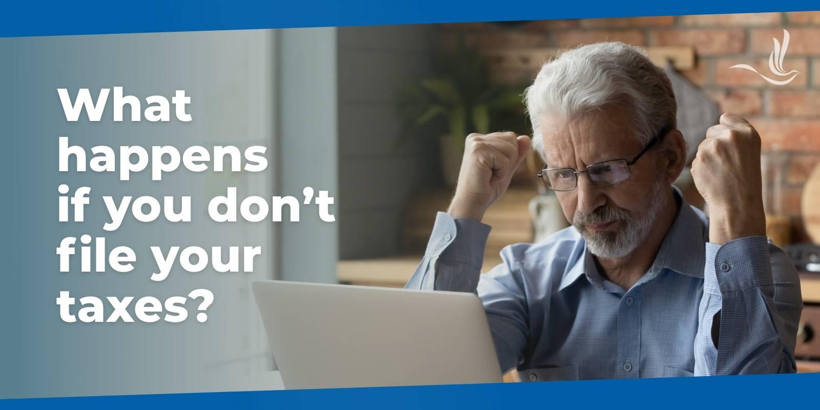 what happens if you dont file your taxes