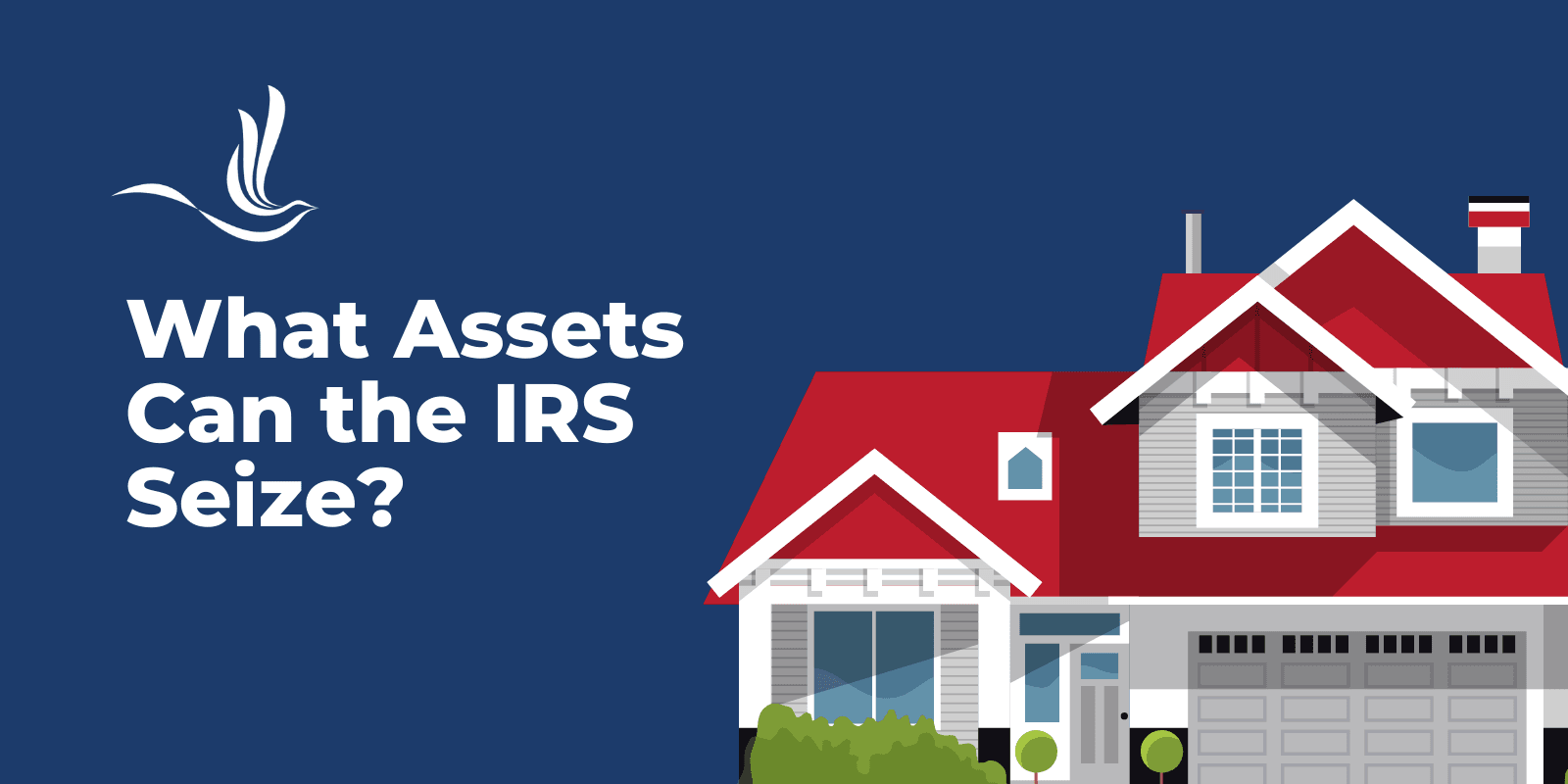 what assets can the irs seize?