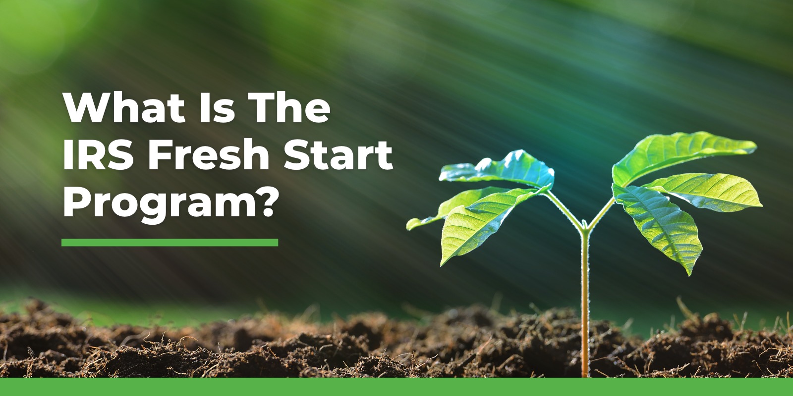 what is the irs fresh start program
