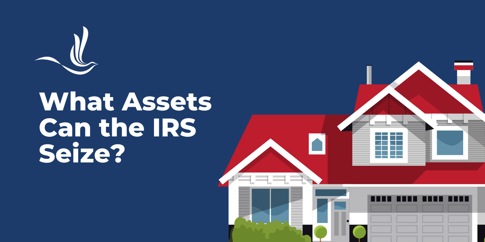 what-assets-can-the-irs-seize-optima-tax-relief