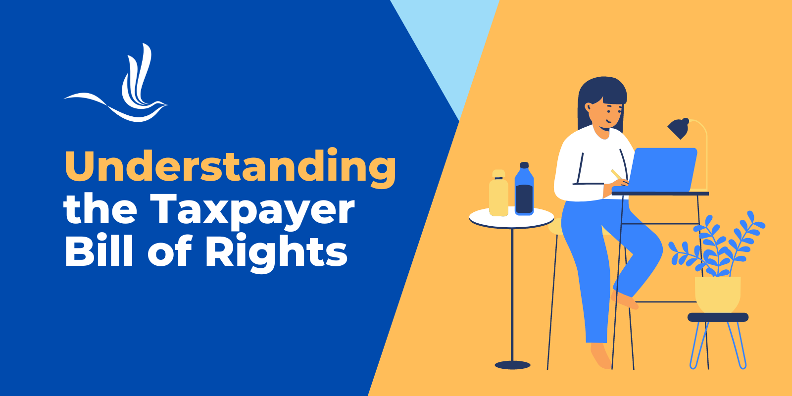 understanding the taxpayer bill of rights