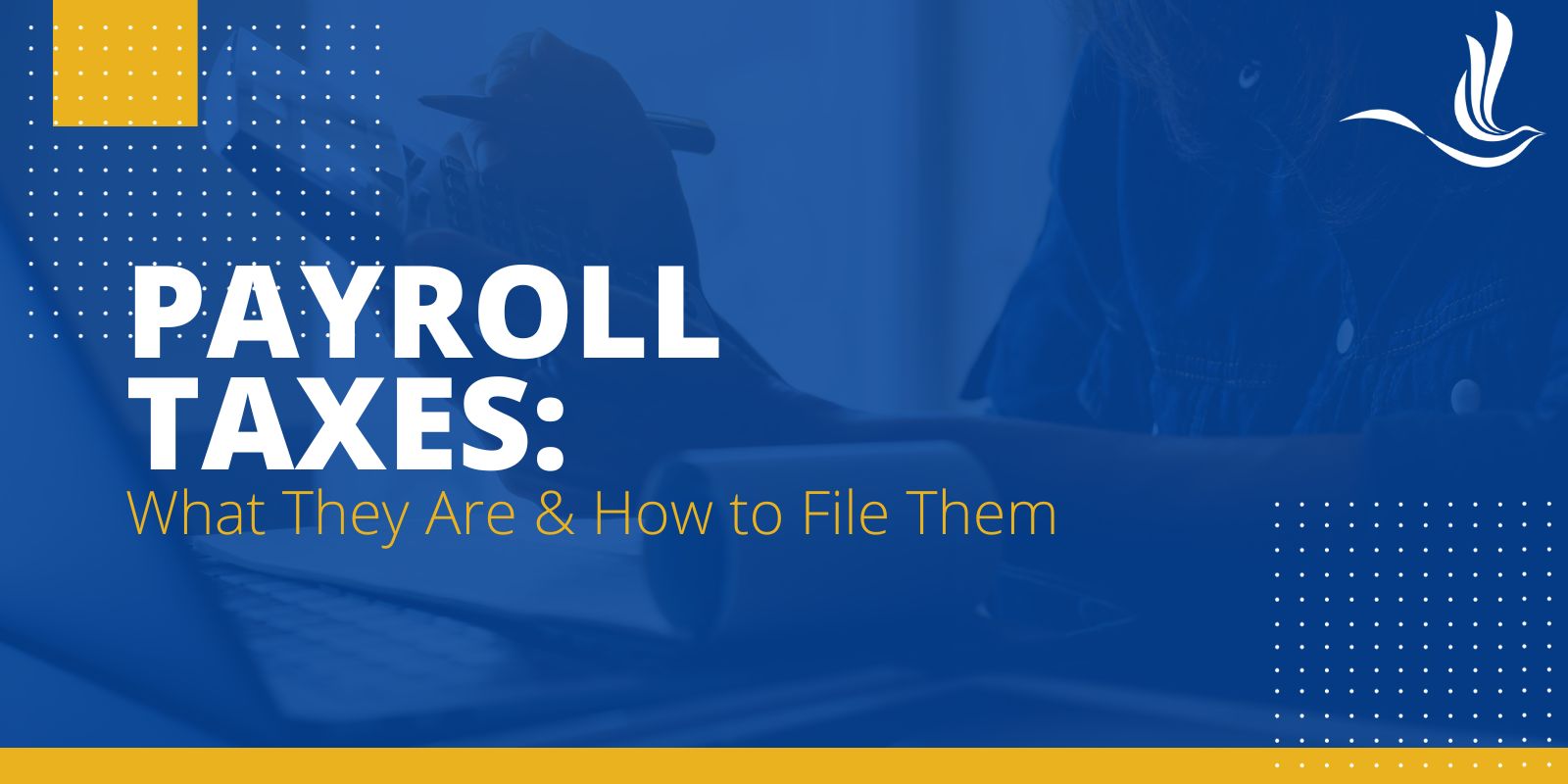 How Much Is Optima Tax Relief Payroll Taxes: What They Are and How to File Them | Optima Tax Relief
