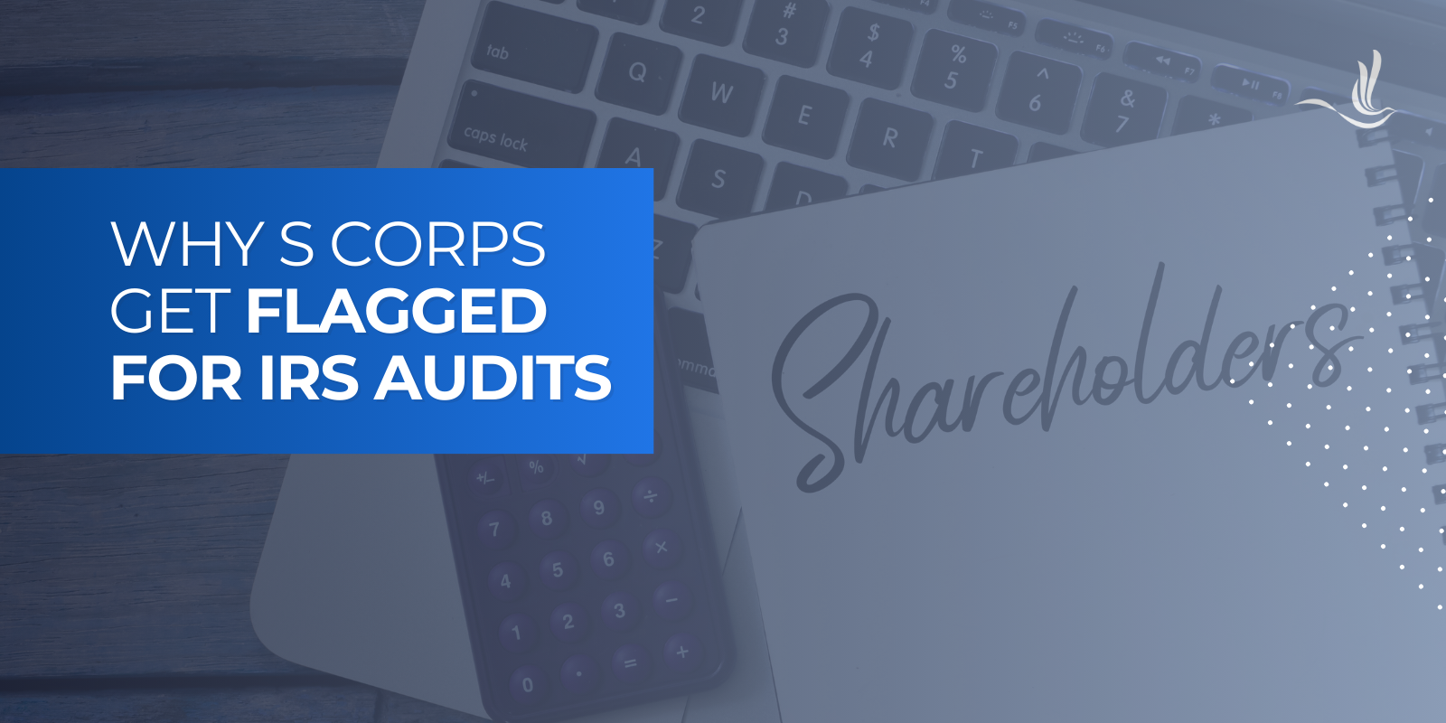Why S Corps Get Flagged for IRS Audits   Why S Corps Get Flagged for IRS Audits
