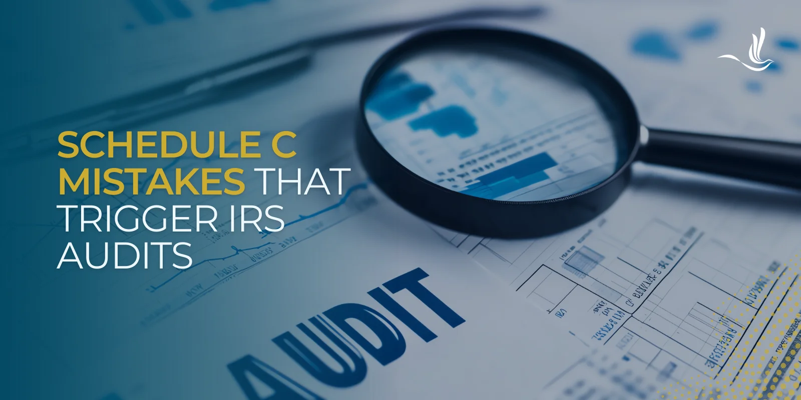 Schedule C Mistakes That Trigger IRS Audits  Optima Tax Relief